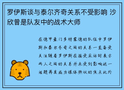 罗伊斯谈与泰尔齐奇关系不受影响 沙欣曾是队友中的战术大师
